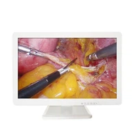 Ent-hoitotaulukon endoskopiamonitori